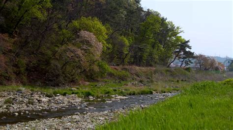 Mais de 2.000 vídeos grátis em HD e 4K de Video e Natureza ...